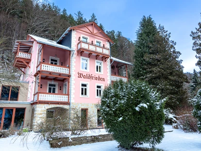 Naturhotel - Umgebungsschwerpunkt: Wald - Großnaundorf - Bio-BoutiqueHotel Villa Waldfrieden