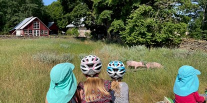 Naturhotel - WLAN: eingeschränktes WLAN - Schweine beobachten macht eben auch Spass. - Sonnenhügelhof (Solberga Gård)