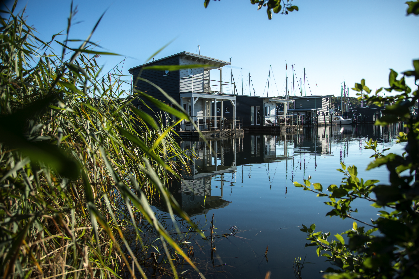 Naturhotel: Schwimmende Ferienhäuser  - im-jaich Wasserferienwelt