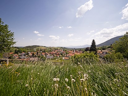 Naturhotel - Umgebungsschwerpunkt: Wald - Günzach - Urlaub im Herzen der Ammergauer Alpen. - moor&mehr Bio-Kurhotel