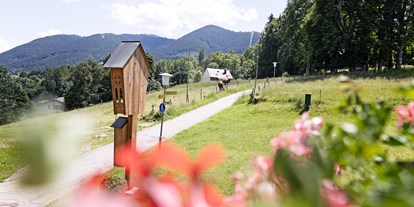 Naturhotel - Bioland-Partner: Bronze - PLZ 6105 (Österreich) - Perfekte Sicht auf unseren Hausberg, das Hörnle.  - moor&mehr Bio-Kurhotel