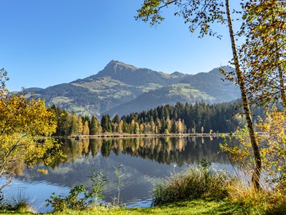 Naturhotel - Tirol - Bruggerhof – Camping, Restaurant, Hotel
