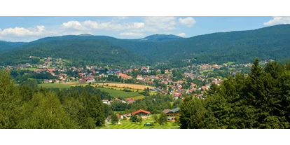 Naturhotel - Verpflegung: Frühstück - Loitzendorf (Landkreis Straubing-Bogen) - Bodenmais am Großen Arber, am Nationalpark Bayerischer Wald - Die BIO Sportpension