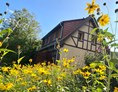 Biohotel: Ferienhaus "Rosenscheune", Blick aus dem Gemüsegarten - BIO-NATURIDYLL WIESENGRUND