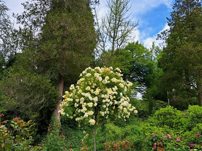 Naturhotel - Hoteltyp: Naturhotel - Sachsen - Wenige Gehminuten entfernt liegt das verträumte Rosen-Schloss Thürmsdorf mit seiner Schokolaterie und dem einzigartigen Parkgarten mit erlesenen Rosen und Blütenkulturen kombiniert mit Edelhölzern aus aller Welt. - BIO-NATURIDYLL WIESENGRUND