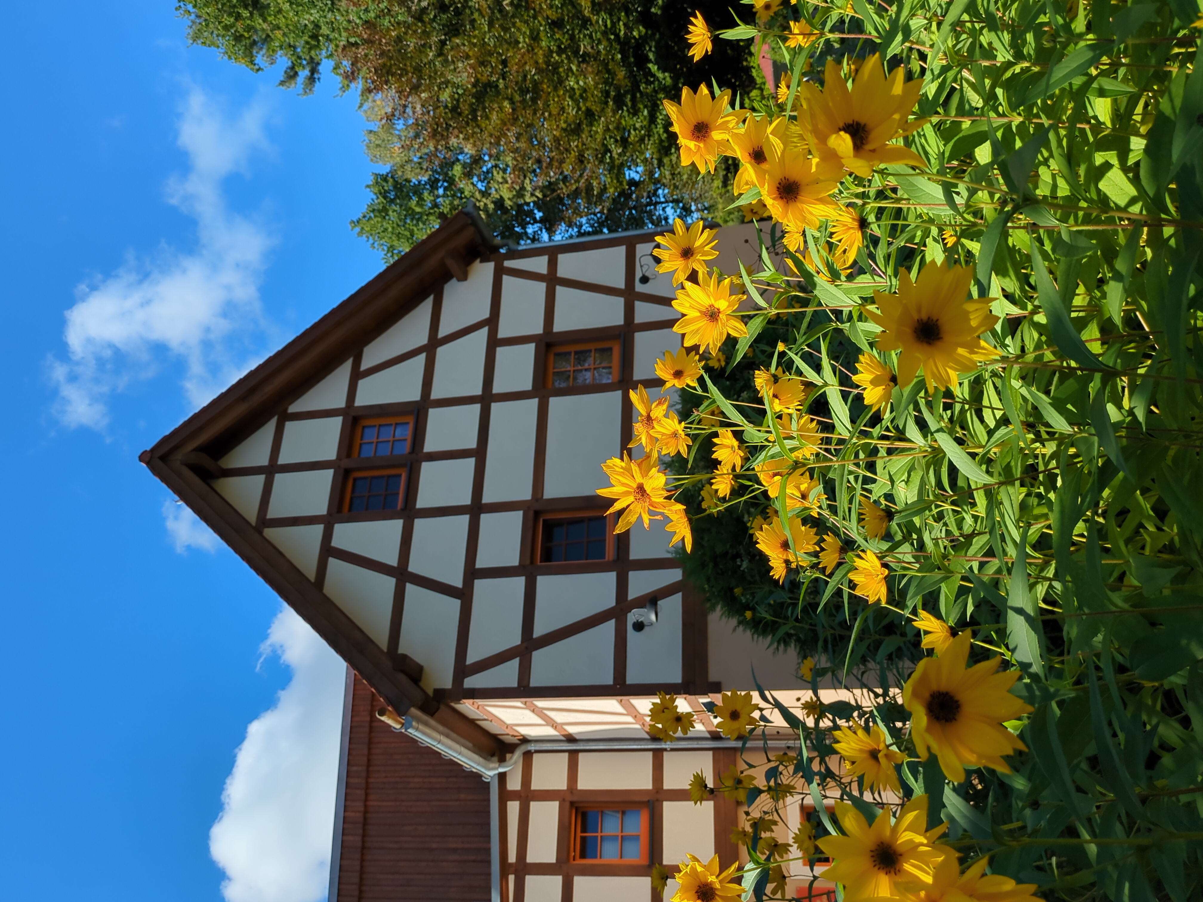 Biohotel: Es blüht so schön im Wiesengrund. - BIO-NATURIDYLL WIESENGRUND