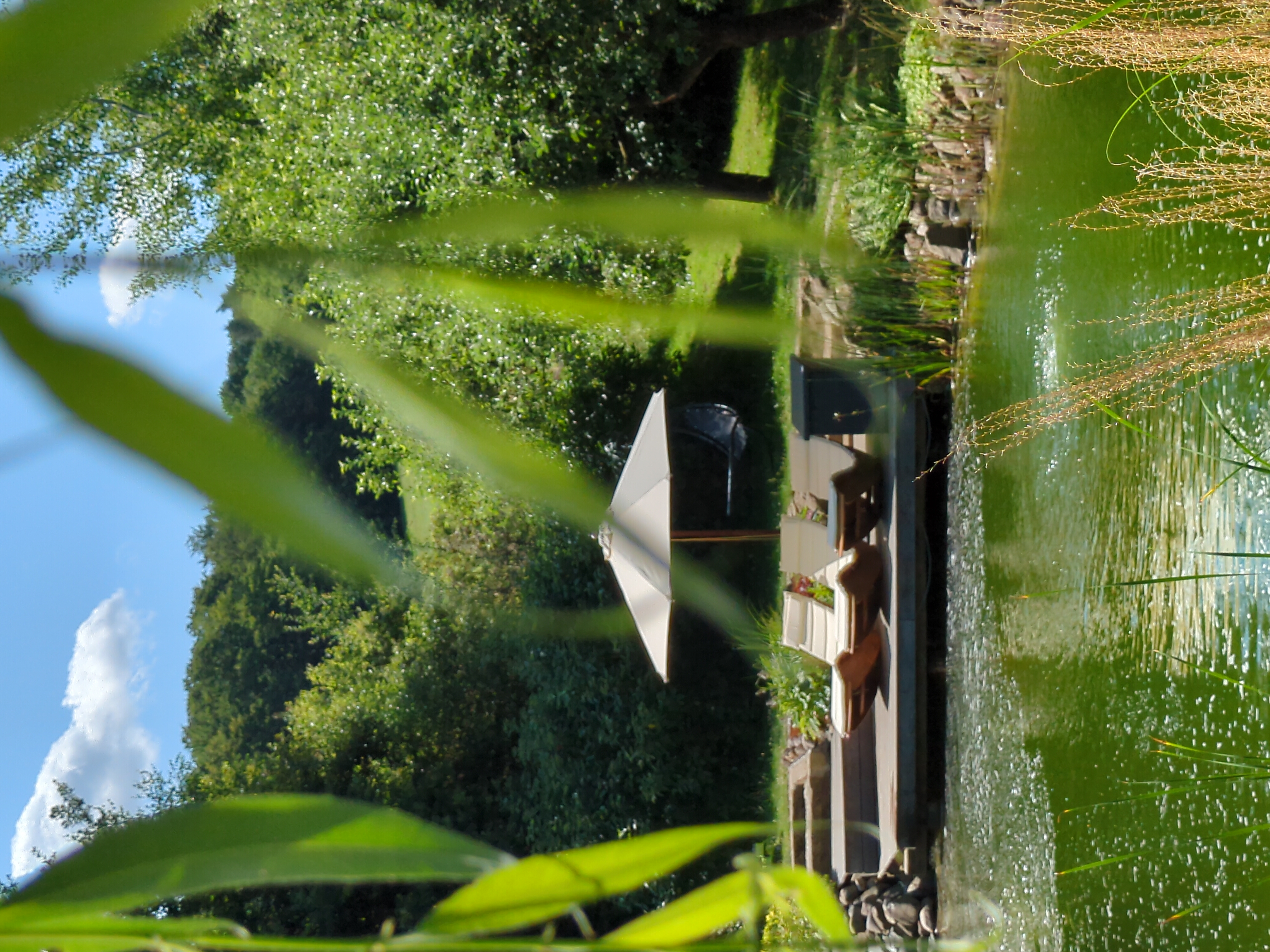Biohotel: Lounge am idyllischen Naturteich - BIO-NATURIDYLL WIESENGRUND