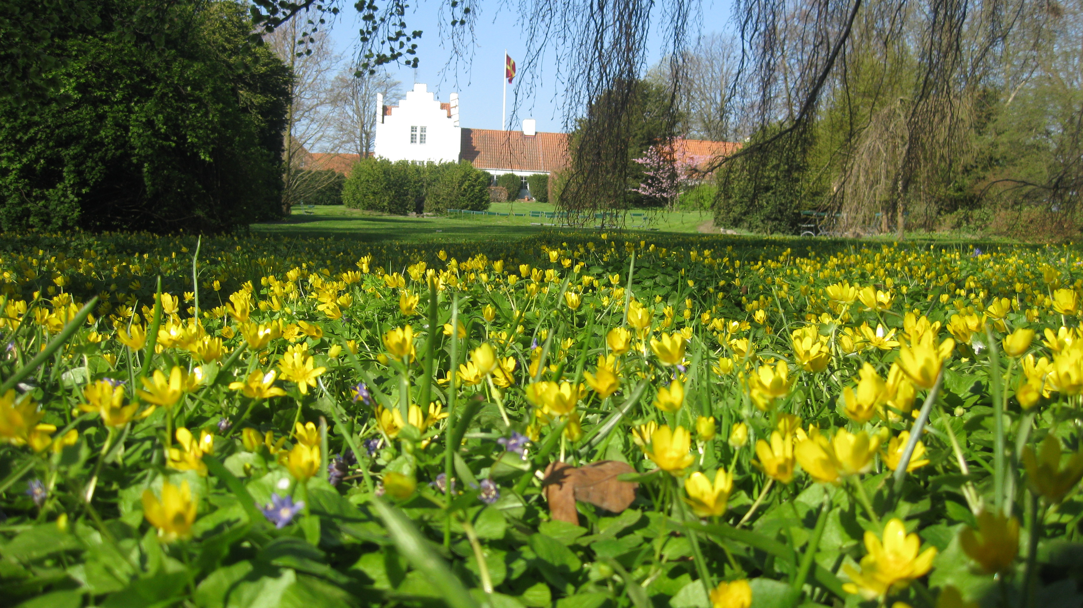 Naturhotel - Schweden - Ängavallen