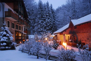 Biohotel: Hotel im Wald Hammerschmiede - Winter im Wald - Hotel Naturidyll Hammerschmiede 
