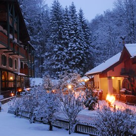 Biohotel: Hotel im Wald Hammerschmiede - Winter im Wald - Hotel Naturidyll Hammerschmiede 