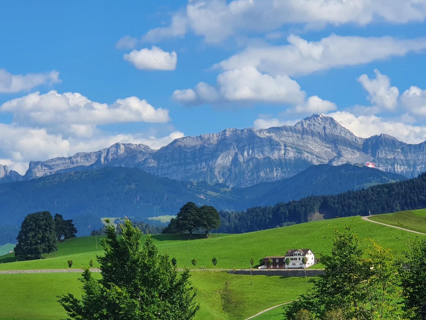 Biohotel: Aussicht Balkon Säntisblick - Sonnenberg Health Hotel
