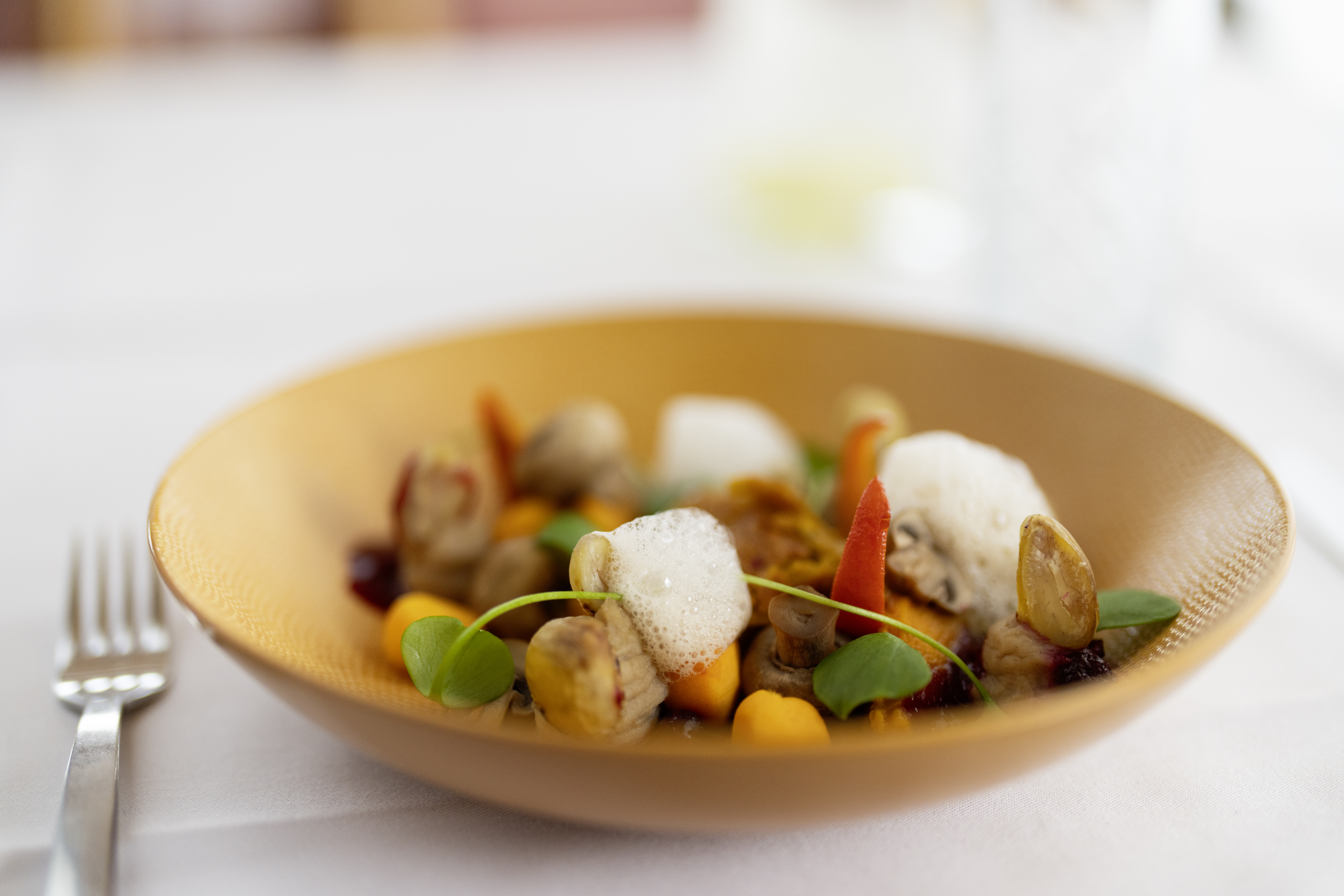 Biohotel: 4-Gang Abendessen Vorspeise - Sonnenberg Health Hotel