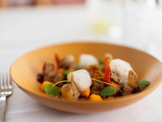 Biohotel: 4-Gang Abendessen Vorspeise - Sonnenberg Health Hotel