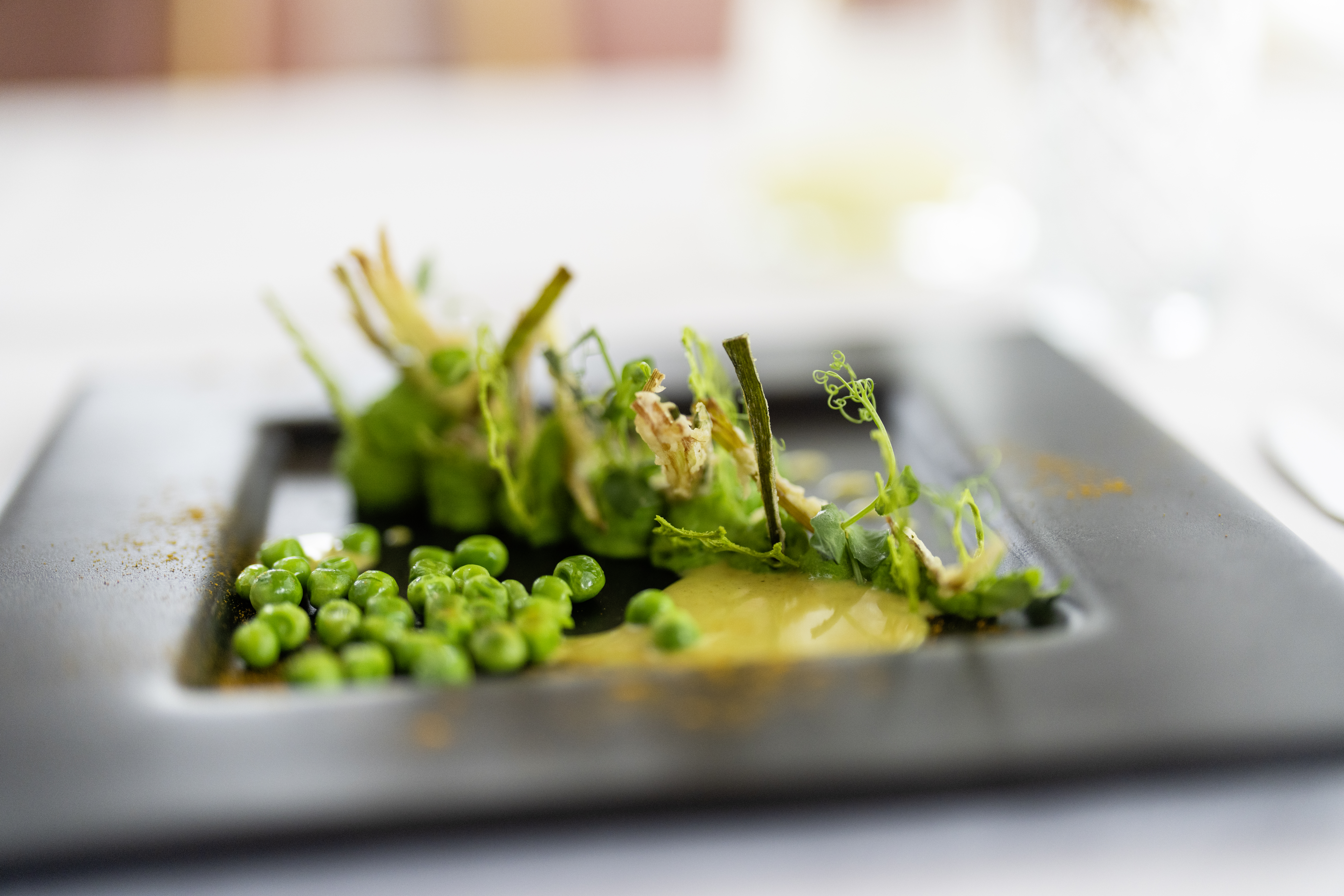 Biohotel: 4-Gang Abendessen Vorspeise - Sonnenberg Health Hotel