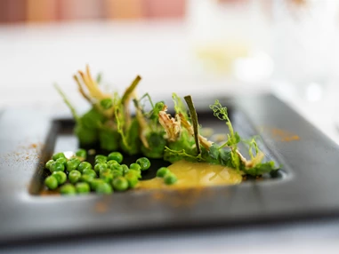 Biohotel: 4-Gang Abendessen Vorspeise - Sonnenberg Health Hotel