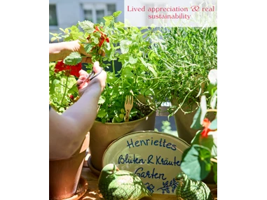 Biohotel: Henriette Stadthotel Vienna