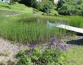 Biohotel: Naturbadeteich auf der Sonnenwiese direkt am Nationalpark - BELVEDERE-das BIO Hotel garni & SuiteHotel am Edersee