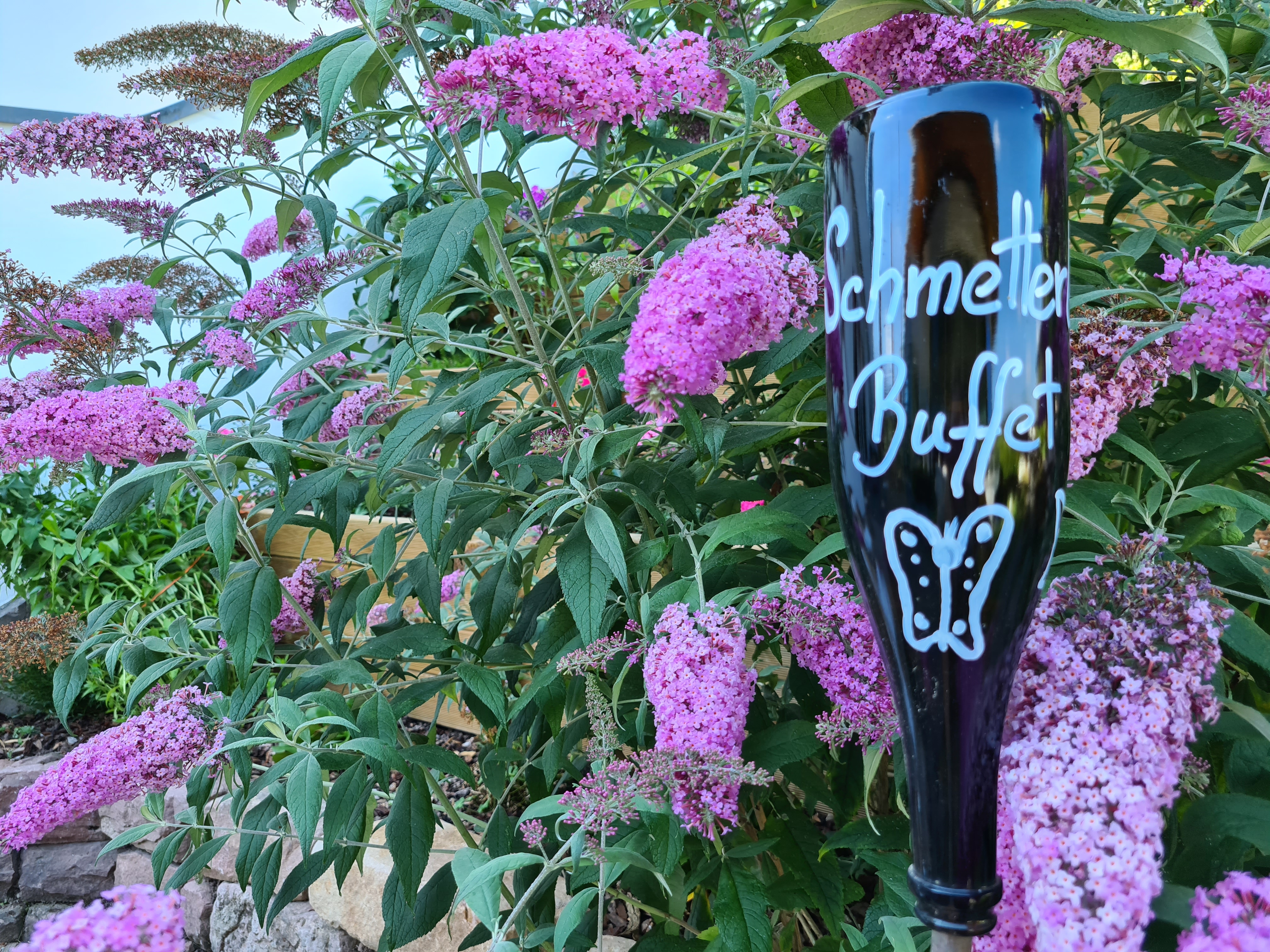 Biohotel: Naschgarten - SCHWARZWALD PANORAMA