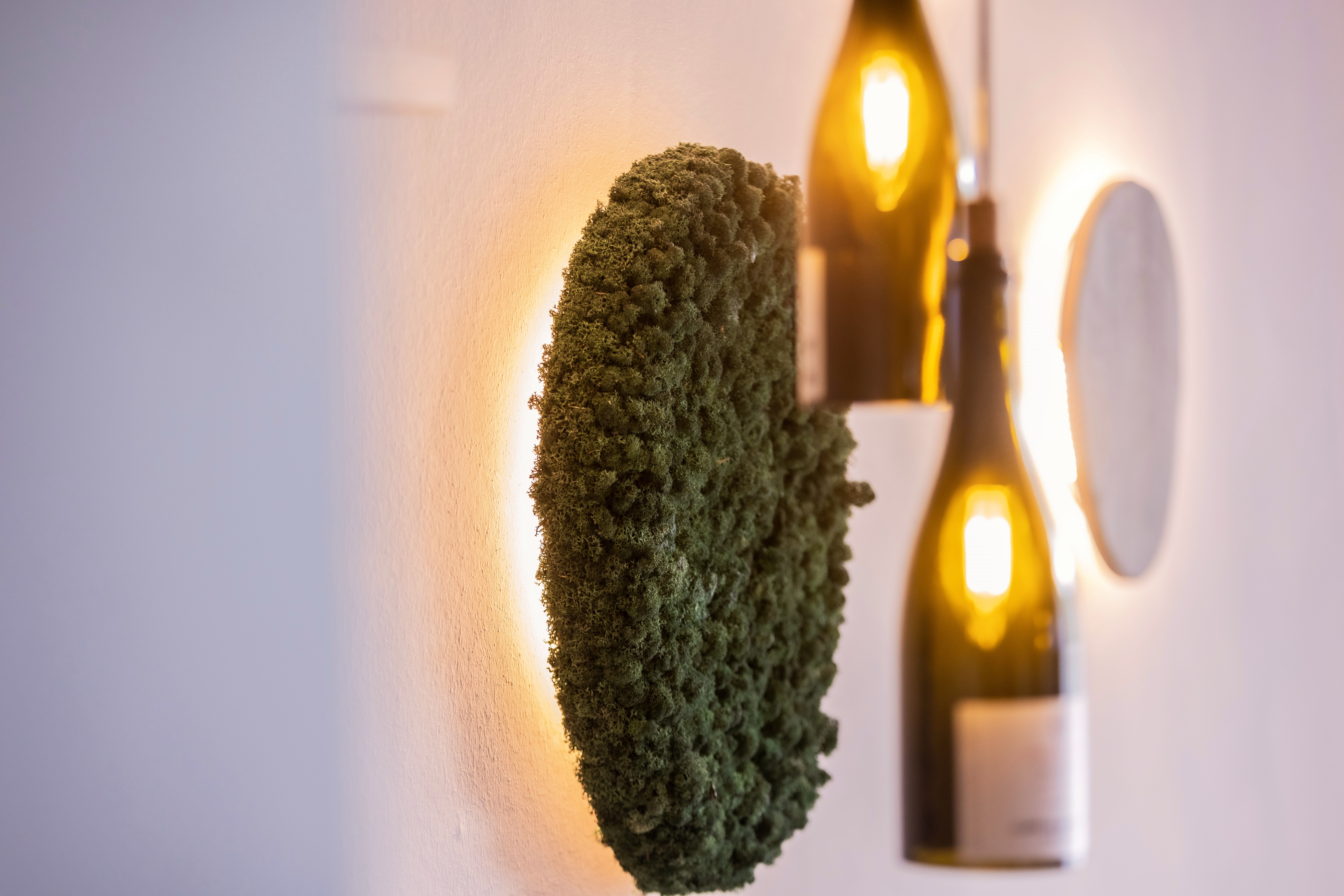 Biohotel: Circular Living Designzimmer Waldklang Deluxe - SCHWARZWALD PANORAMA