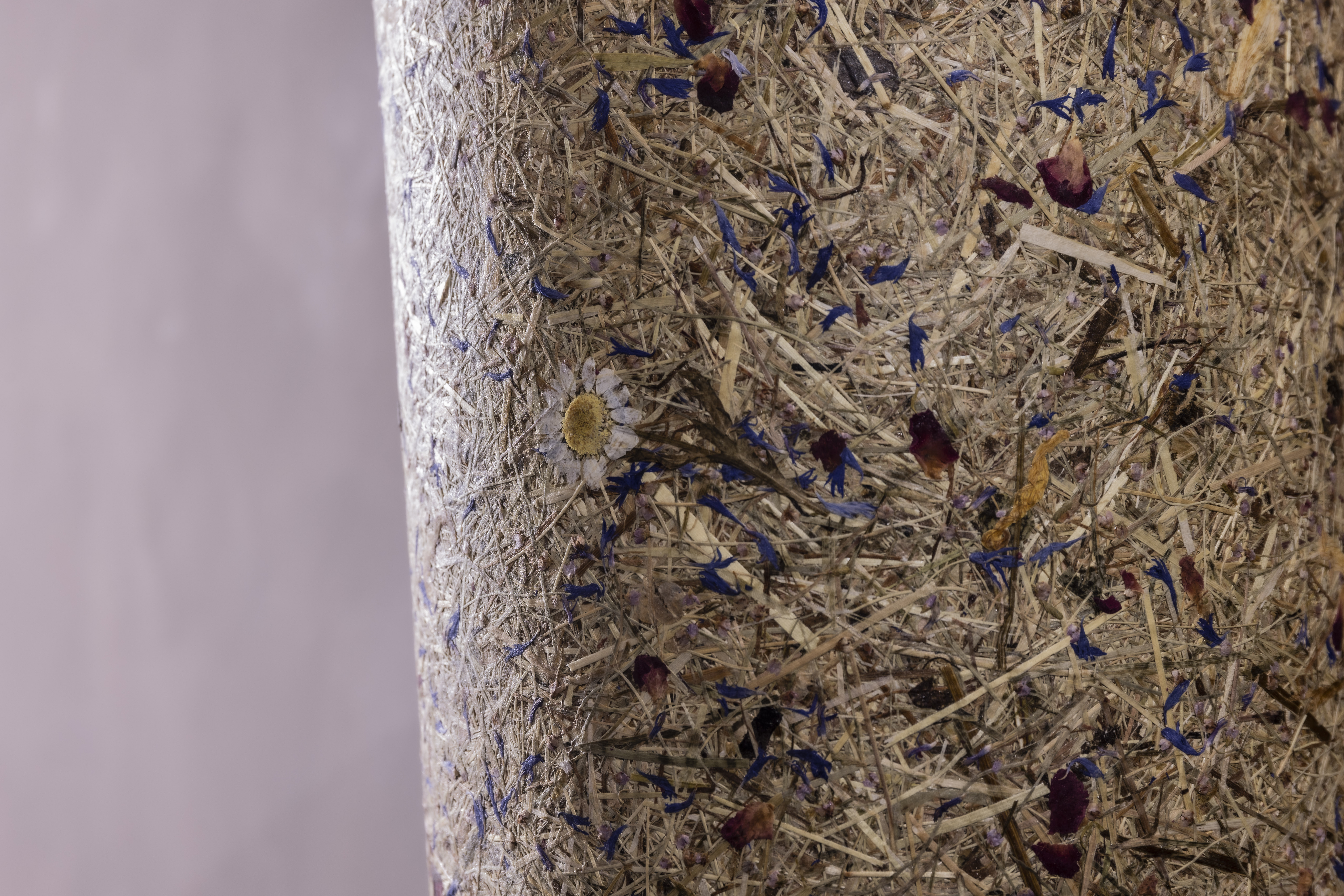 Biohotel: Circular Living Designzimmer Waldklang Deluxe - SCHWARZWALD PANORAMA