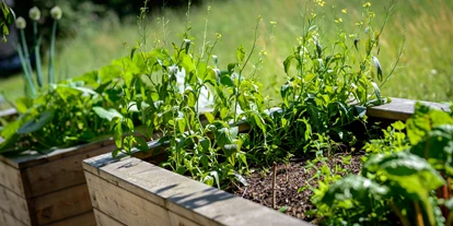 Naturhotel - Wassersparmaßnahmen - Eschenhofs Kräutergarten - **** Naturhotel Ortners Eschenhof