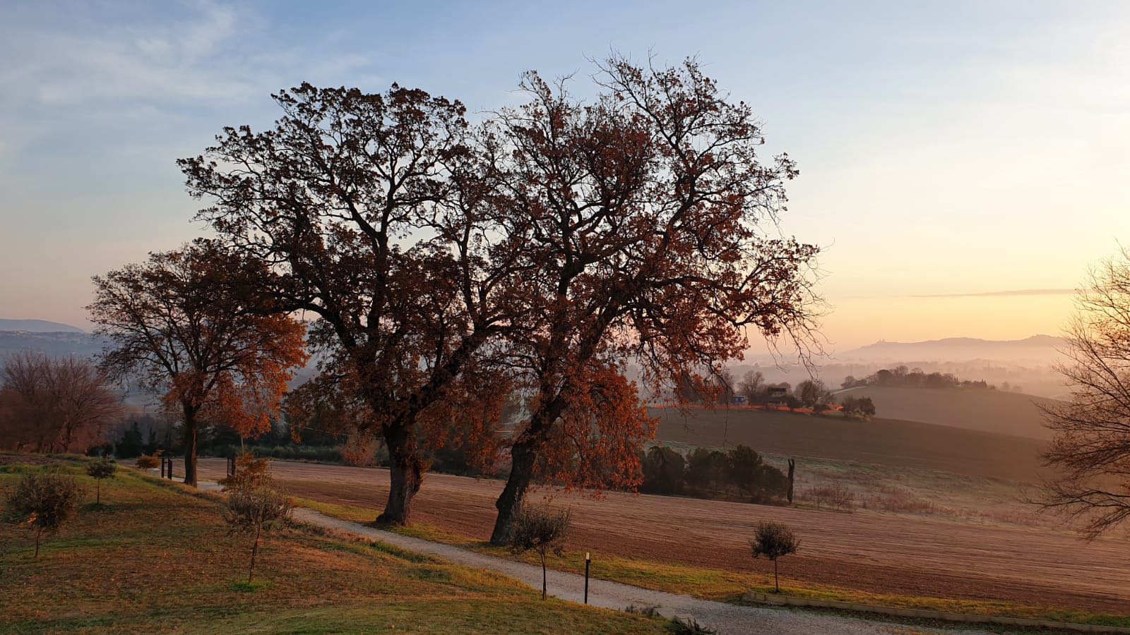Biohotel: Autumn beautiful color and landscape - RITORNO ALLA NATURA