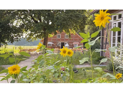 Nature hotel - PLZ 29525 (Deutschland) - Blick auf den Bier-, Eis- und Kaffeegarten - Bio-Hotel TraumzeitHof - mitten im Naturpark Südheide - Bio-Hotel TraumzeitHof - Naturotel