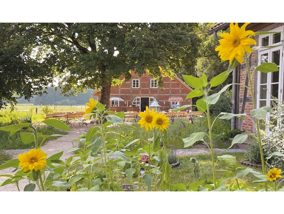 Biohotel: Blick auf den Bier-, Eis- und Kaffeegarten - Bio-Hotel TraumzeitHof - mitten im Naturpark Südheide - Bio-Hotel TraumzeitHof - Naturotel