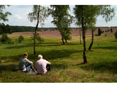 Biohotel: Erlebnis im Naturpark Südheide - Bio-Hotel TraumzeitHof - Naturotel