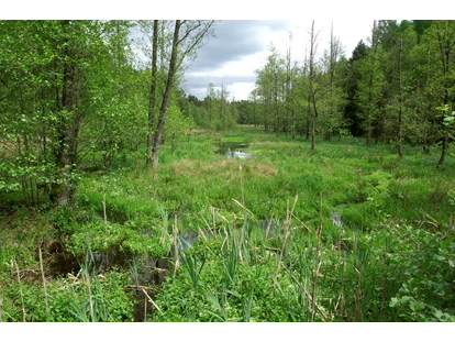 Nature hotel - PLZ 29525 (Deutschland) - Unberührte Landschaften im Naturpark Südheide - Bio-Hotel TraumzeitHof - Naturotel