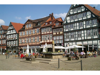 Nature hotel - PLZ 29525 (Deutschland) - Perle der Region - Residenzstadt Celle, eines der größten Fachwerkensembel in Europa - Bio-Hotel TraumzeitHof - Naturotel