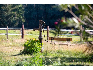 Biohotel: In der Stille Ruhe finden - in unserem Garten - Bio-Hotel TraumzeitHof - Bio-Hotel TraumzeitHof - Naturotel