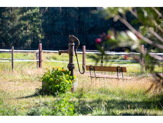 Biohotel: In der Stille Ruhe finden - in unserem Garten - Bio-Hotel TraumzeitHof - Bio-Hotel TraumzeitHof - Naturotel