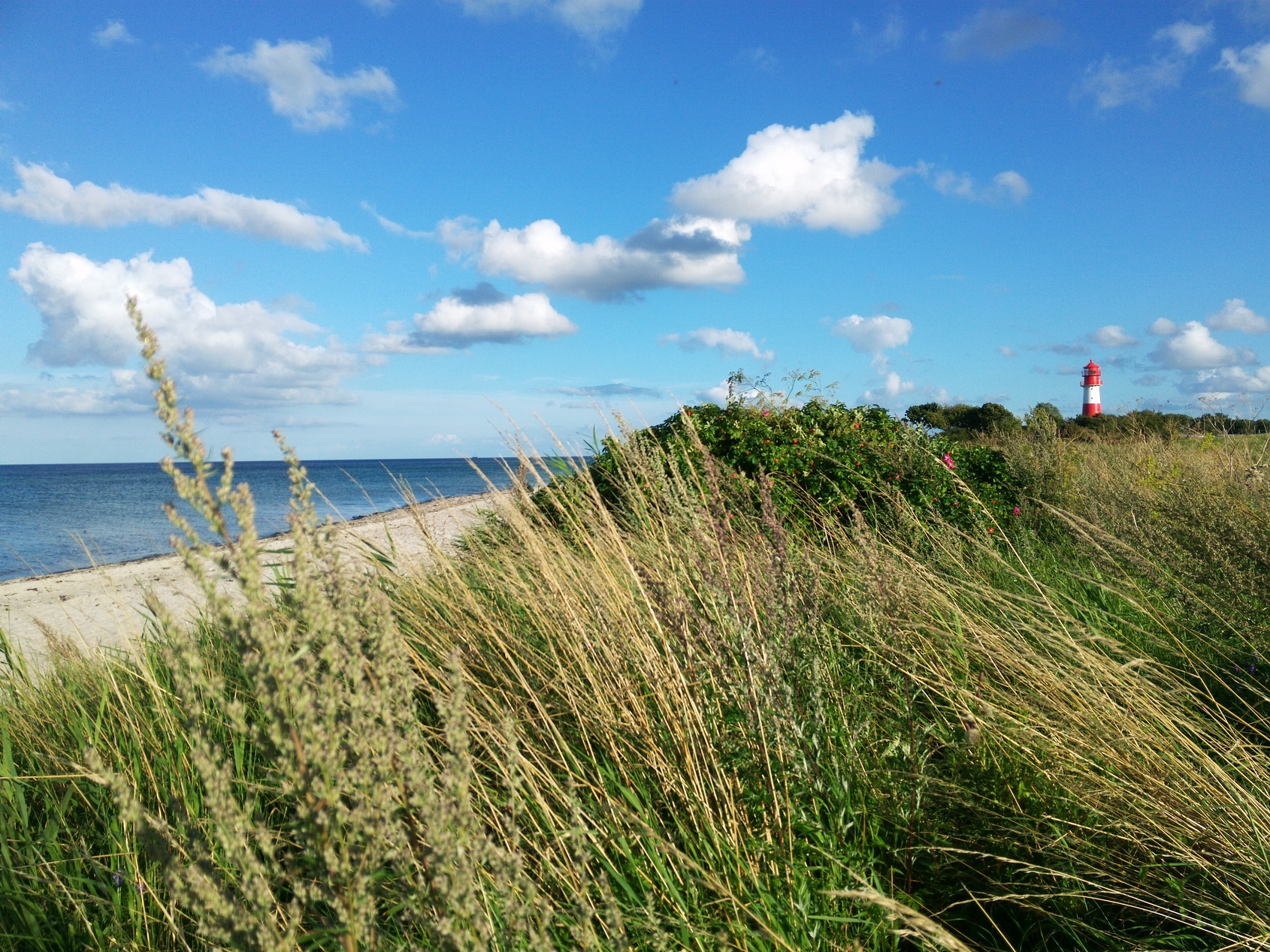 Biohotel: Lieblingsleuchtturm und Lieblingsstrand nicht weit weg - Janbecks FAIRhaus