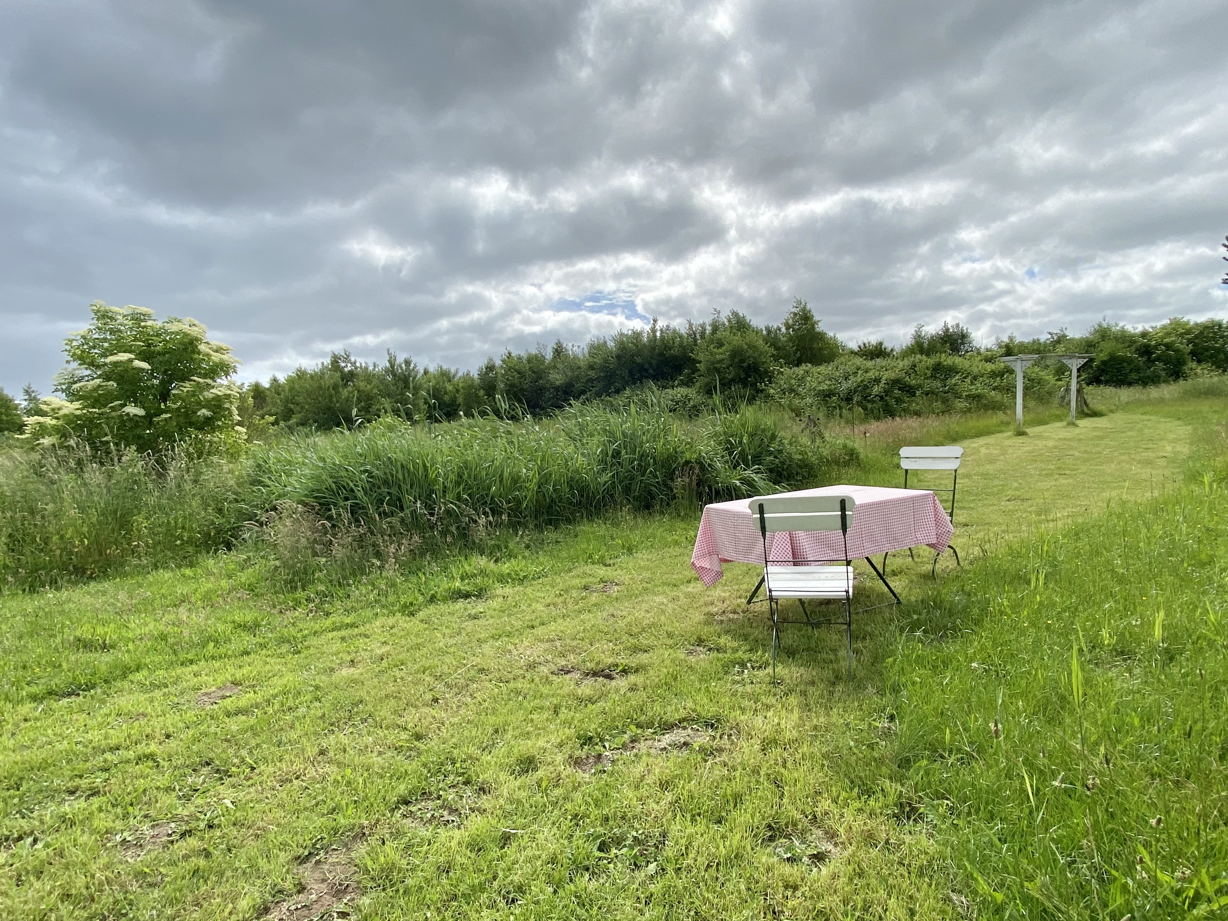 Biohotel: Naturgenussfrühstück auf der Wiese - Janbecks FAIRhaus