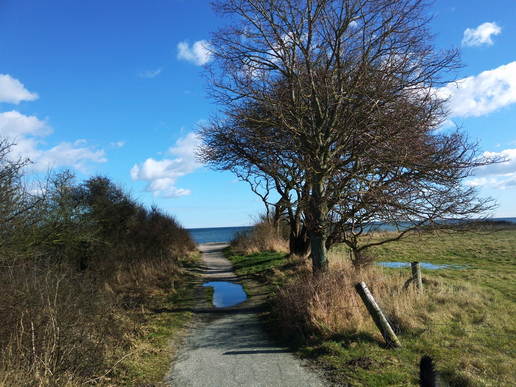 Biohotel: Der Weg zum Meer - Janbecks FAIRhaus