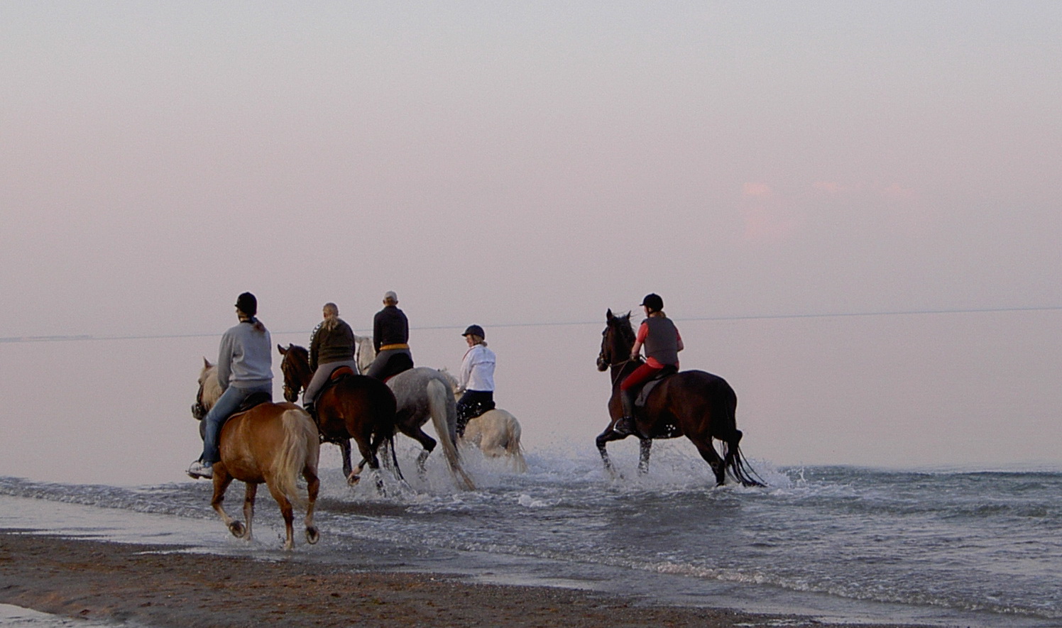 Biohotel: Reiten am Meer  - Janbecks FAIRhaus