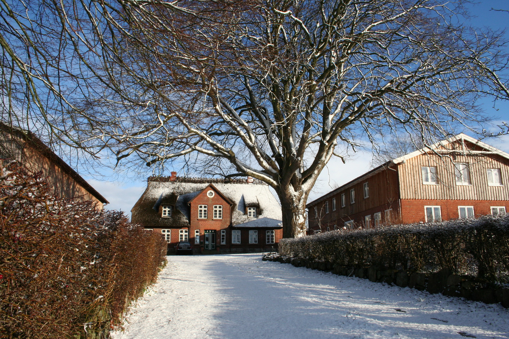 Biohotel: So schaut´s bei uns im Winter aus. Mal leicht gepudert, mal Schnee verweht, gerne knackig kalt. - Janbecks FAIRhaus