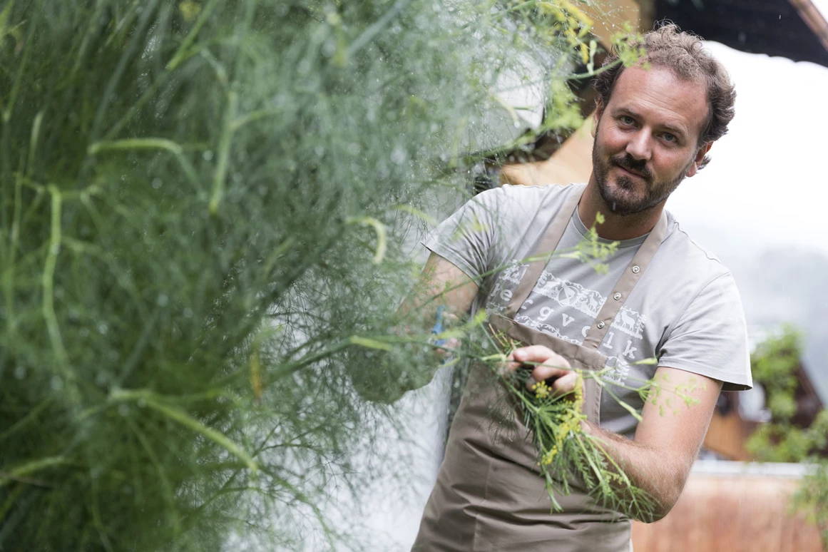 Biohotel: Geschmackvolle Bio-Küche von Joachim Müller - Biohotel Oswalda Hus