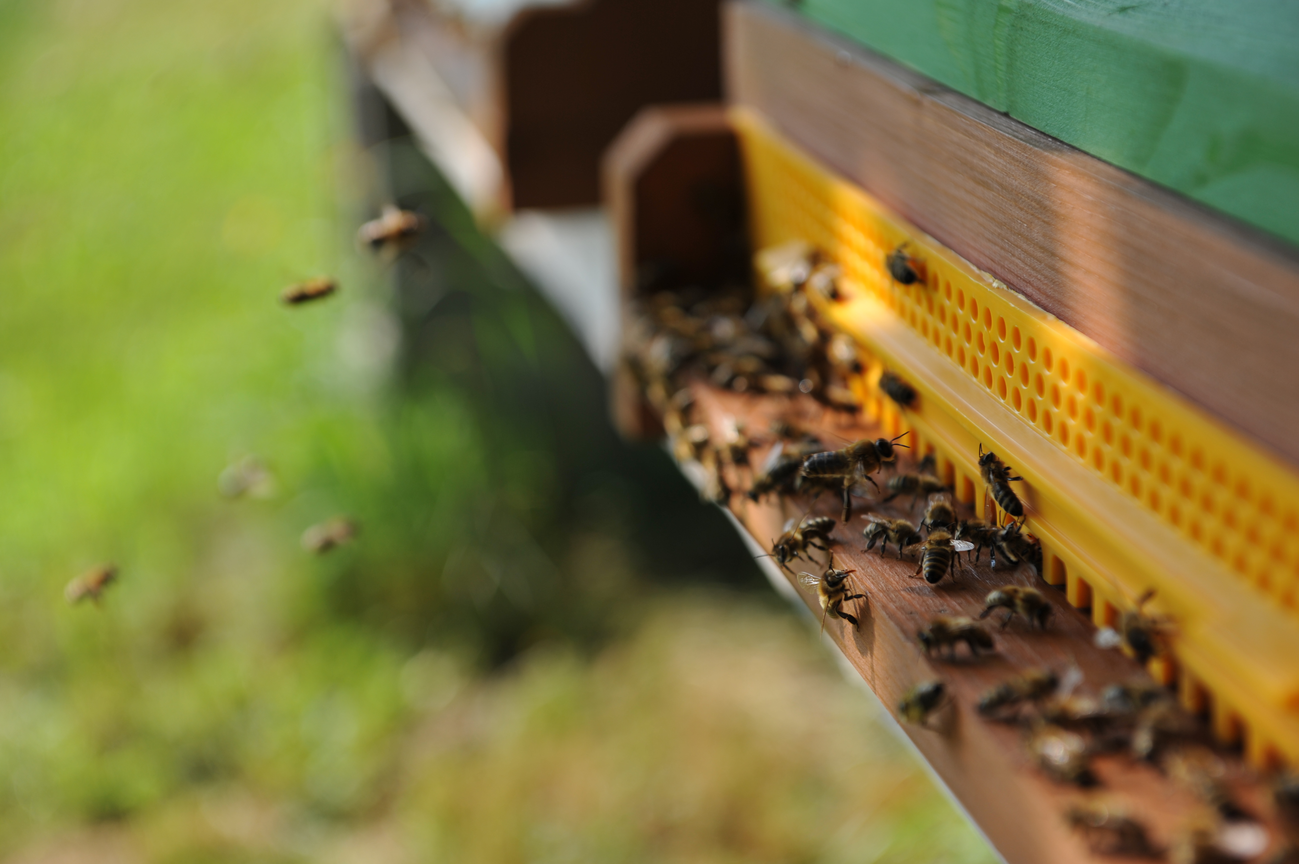 Naturhotel - PLZ 8462 (Österreich) - Biobauernhof Bergjosl