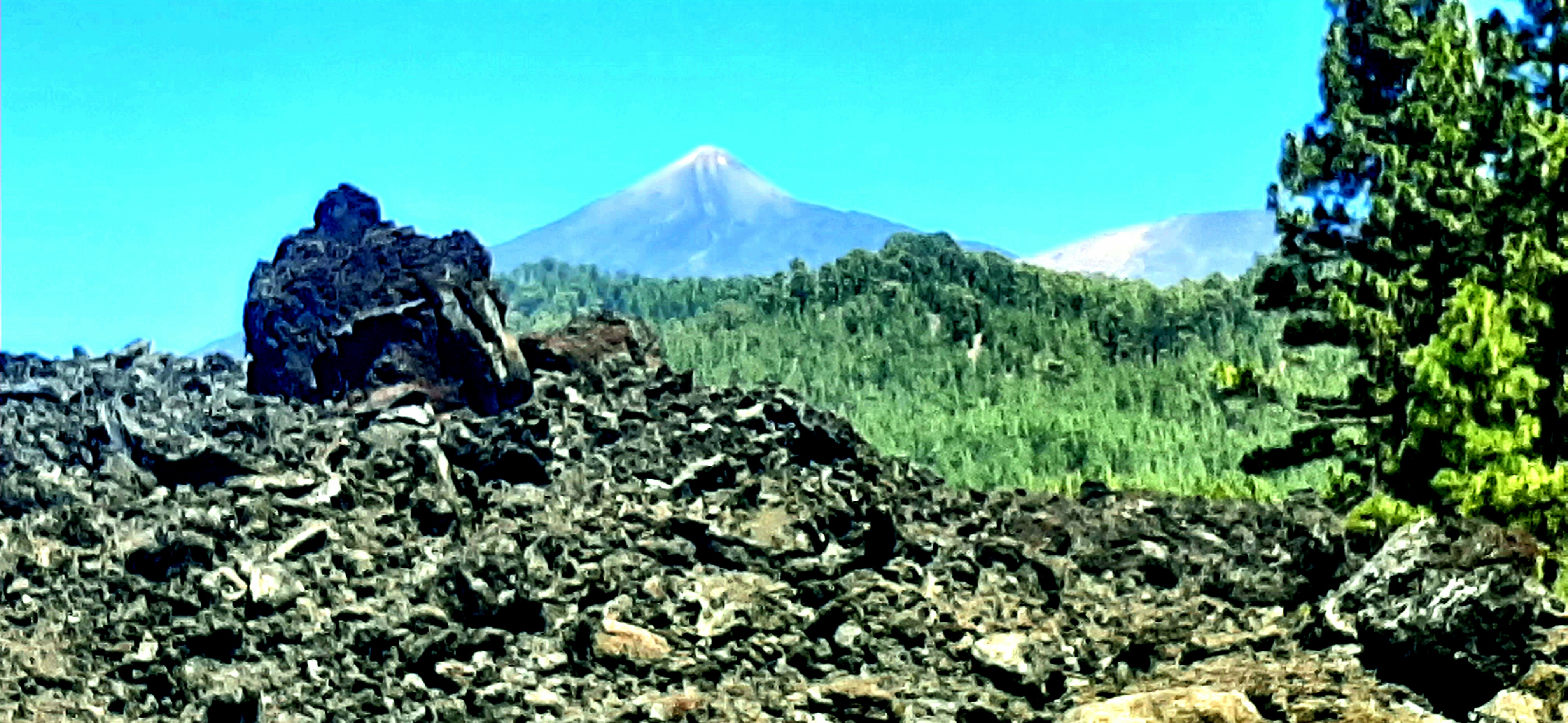 Biohotel: Villa Arte
Wandern
Teno-Landschaftspark mehr unter:
https://villa-arte-teneriffa.de/teno-landschaftspark/ - VILLA ARTE exclusive Ferienapartments