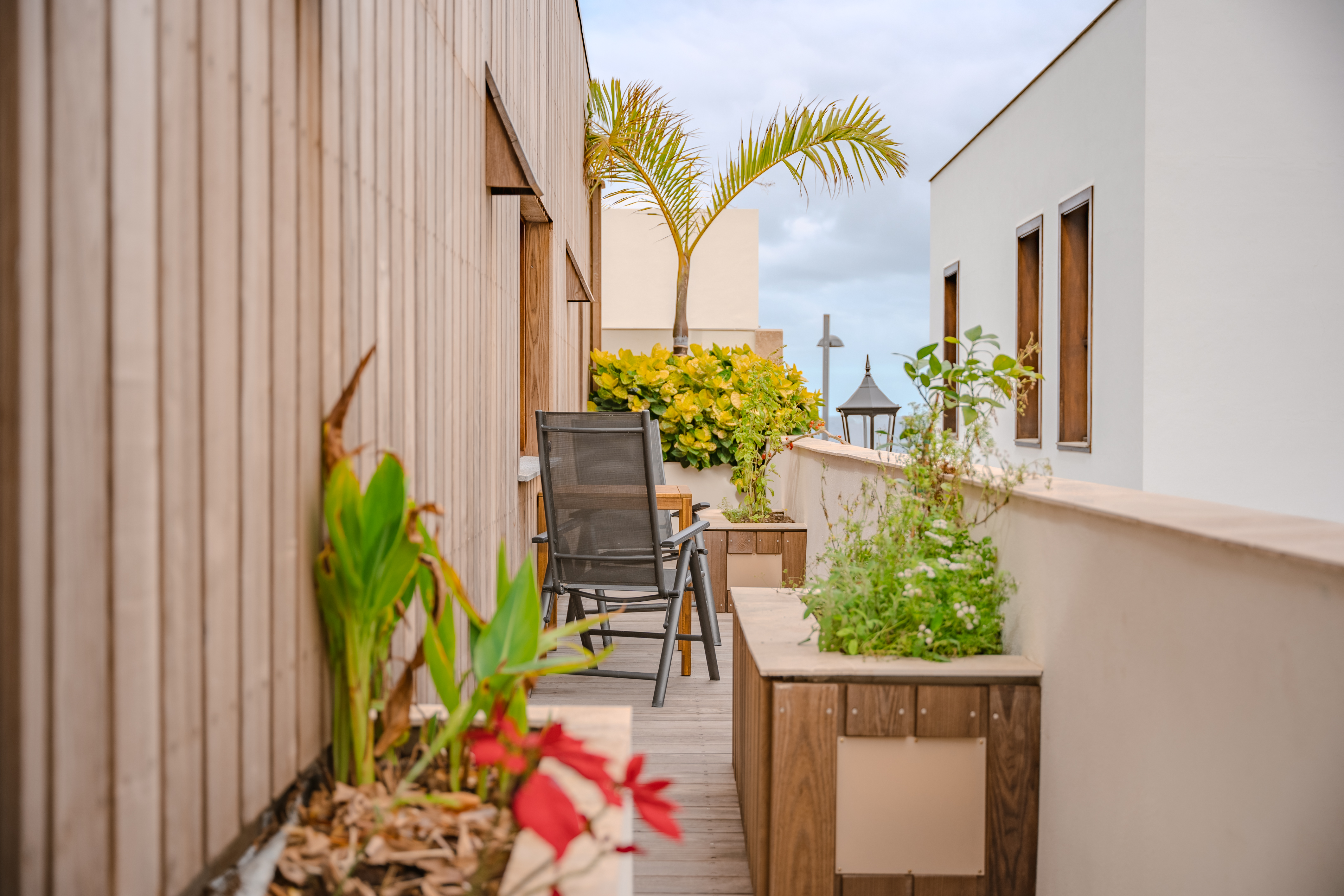 Biohotel: Villa Arte 
Apartment "Atico Exclusivo"
kleine Terrasse mit Morgensonne - VILLA ARTE Teneriffa | exklusive Apartments