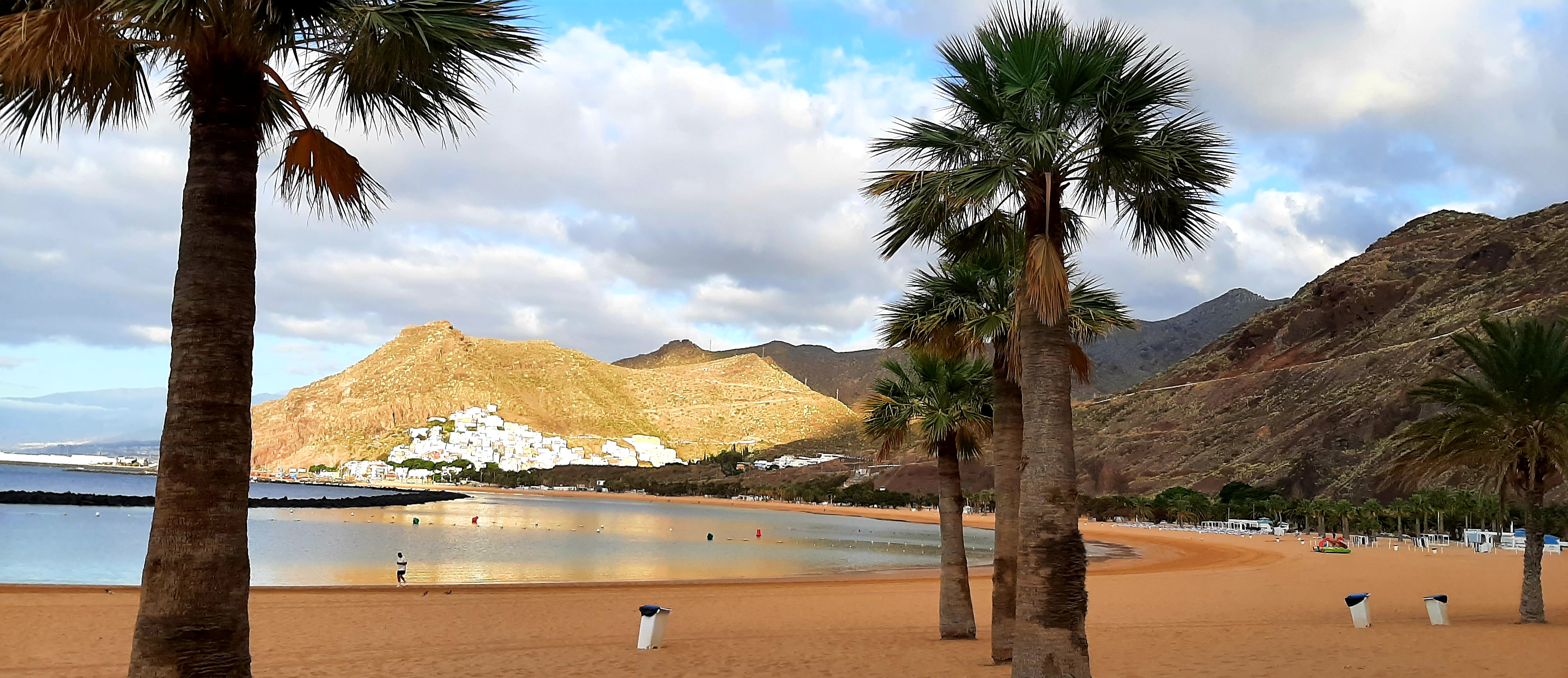 Biohotel: Villa Arte
Baden auf Teneriffa | Playa de las Teresitas
https://villa-arte-teneriffa.de/baden-und-straende/ - VILLA ARTE Teneriffa | exklusive Apartments