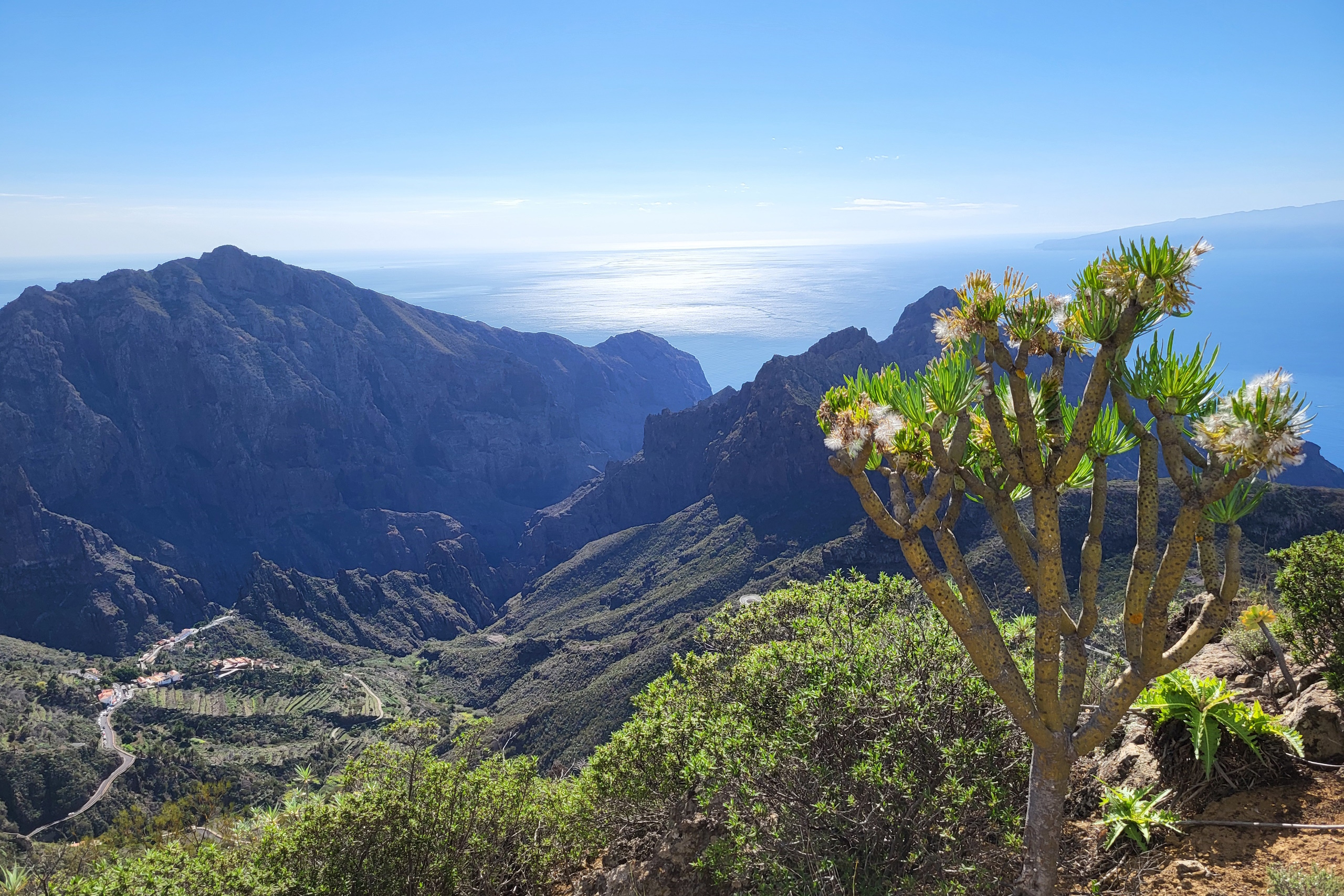 Biohotel: Villa ARTE
Das Tenogebirge im Nordwesten Teneriffas - ein Wanderparadies
https://villa-arte-teneriffa.de/wandern-auf-teneriffa/ - VILLA ARTE Teneriffa | exklusive Apartments