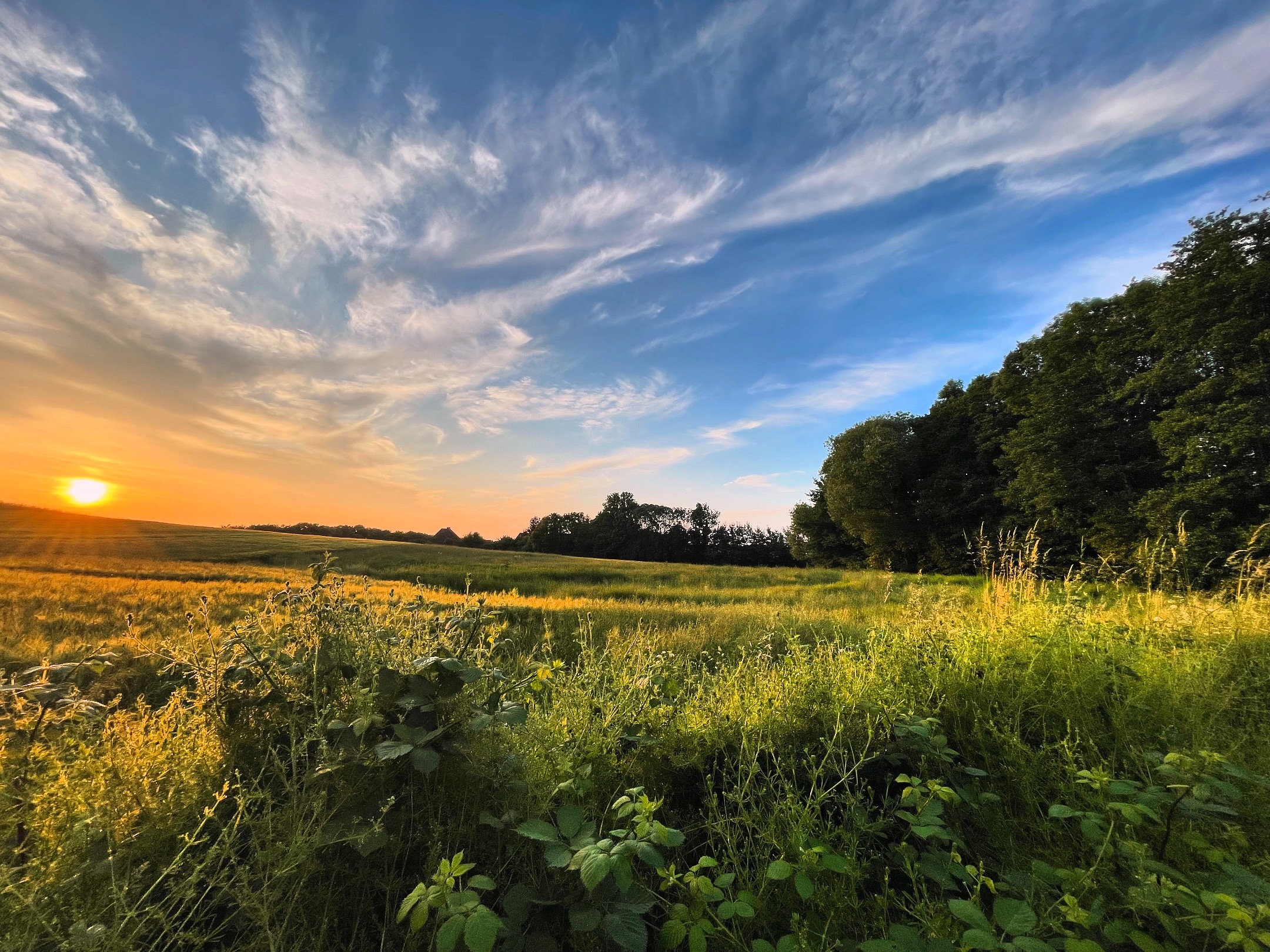 Biohotel: Ostsee Baumhaushotel Schleswig-Holstein