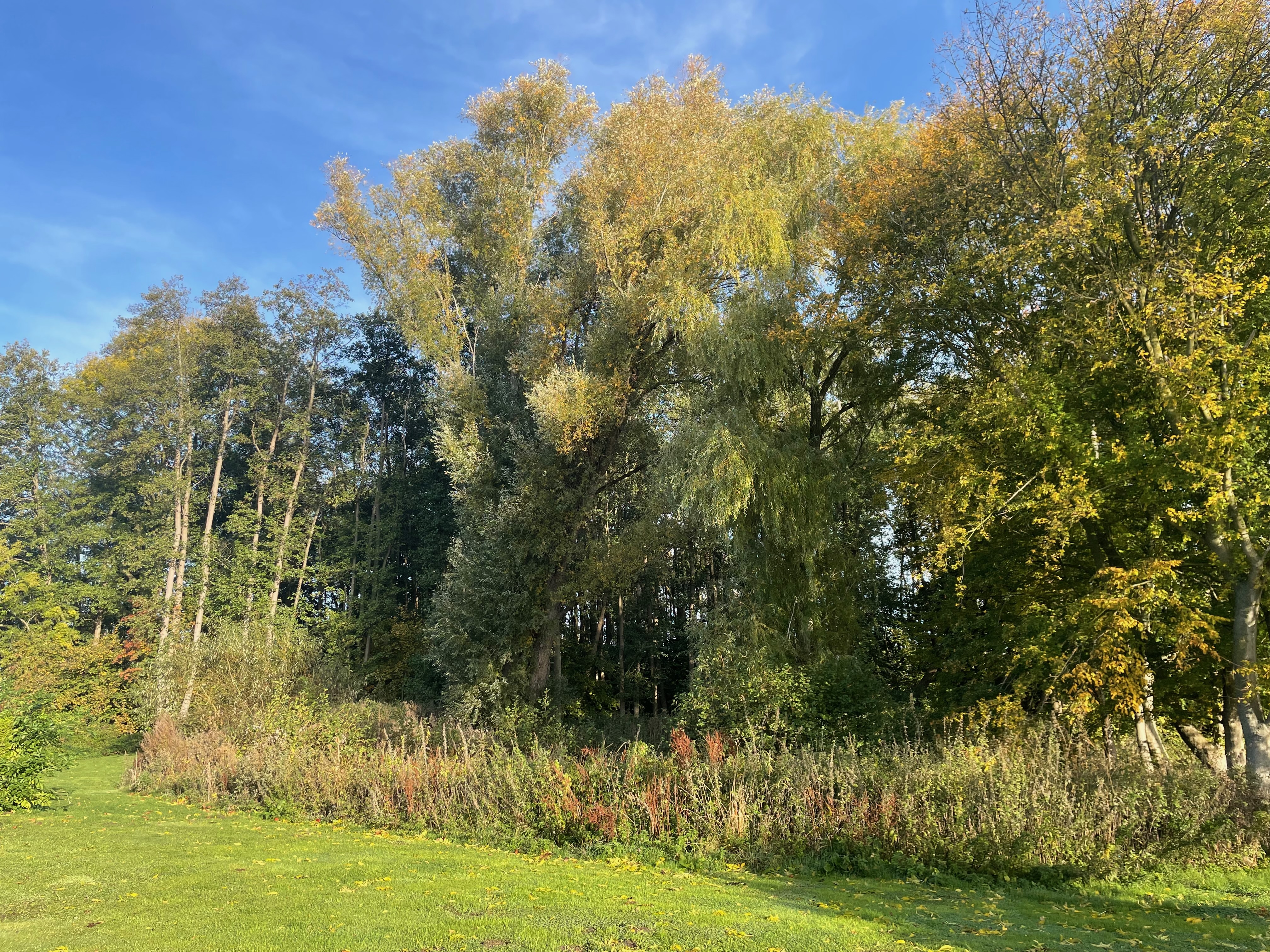 Biohotel: Ostsee Baumhaushotel Schleswig-Holstein