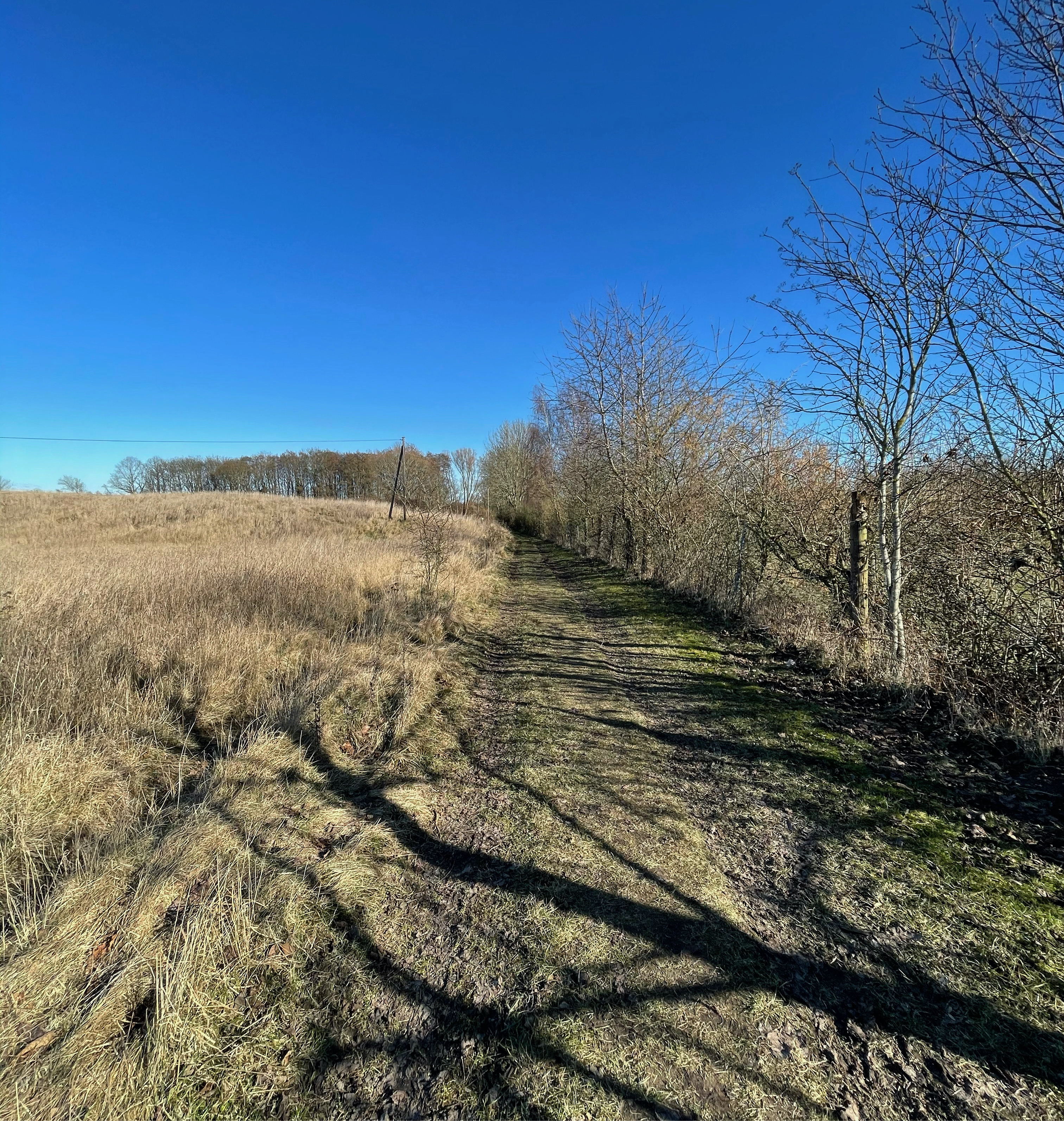 Biohotel: Ostsee Baumhaushotel Schleswig-Holstein