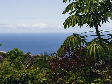 Biohotel: Meerblick - Casita Ayurveda Tenerife