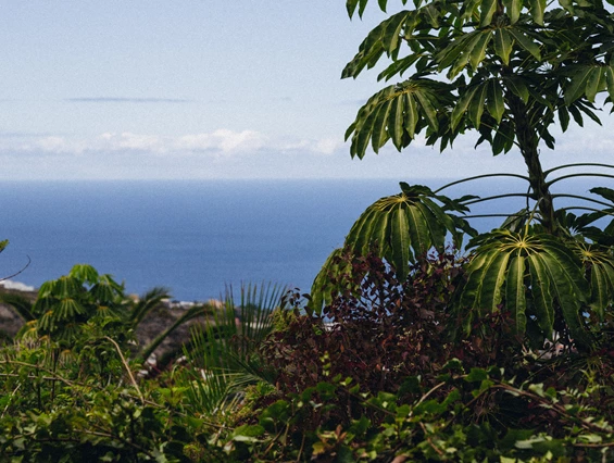 Biohotel: Meerblick - Casita Ayurveda Tenerife