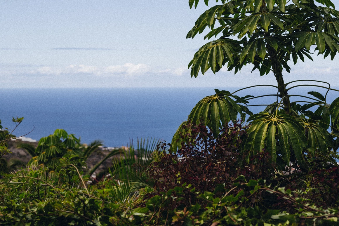 Biohotel: Meerblick - Casita Ayurveda Tenerife
